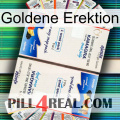 Golden Erection kamagra1